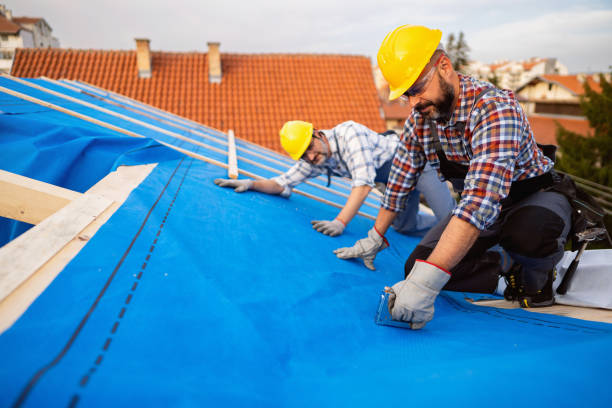 Best Steel Roofing  in Hayti, PA